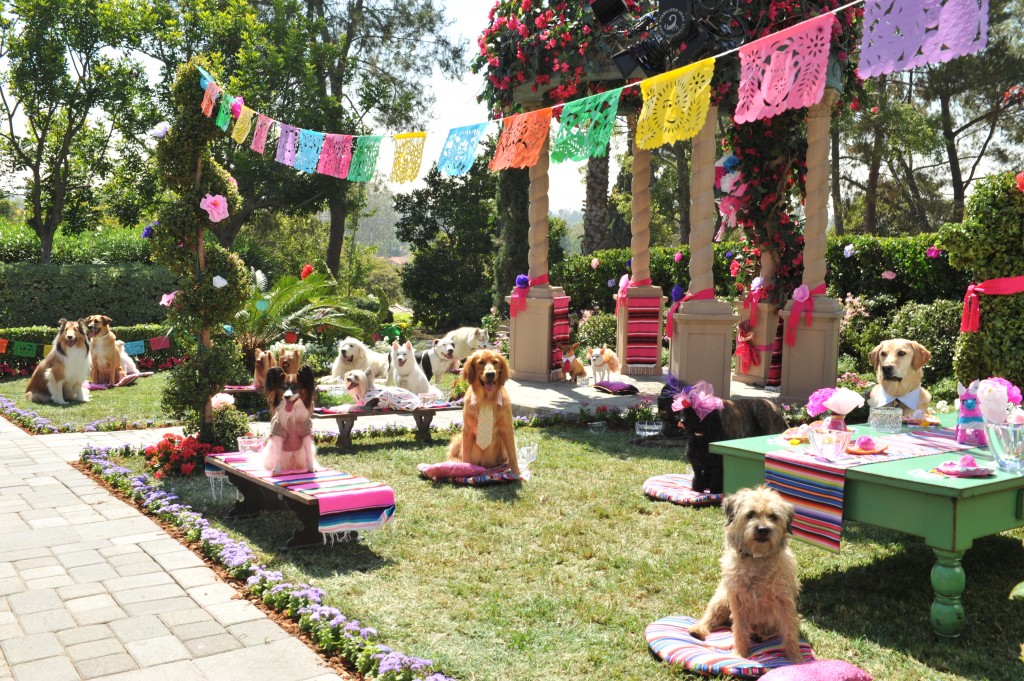 "Beverly Hills Chihuahua 3: Viva La Fiesta!"
